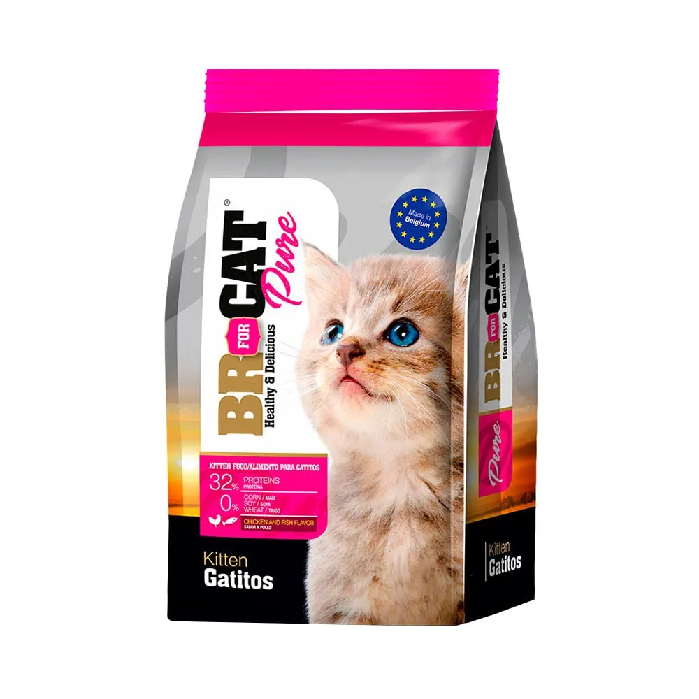 BR FOR CAT PURE GATITO