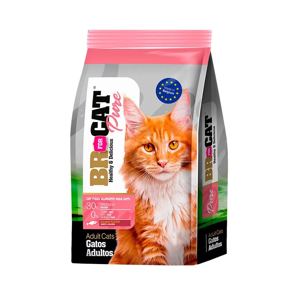BR FOR CAT PURE GATO SALMON