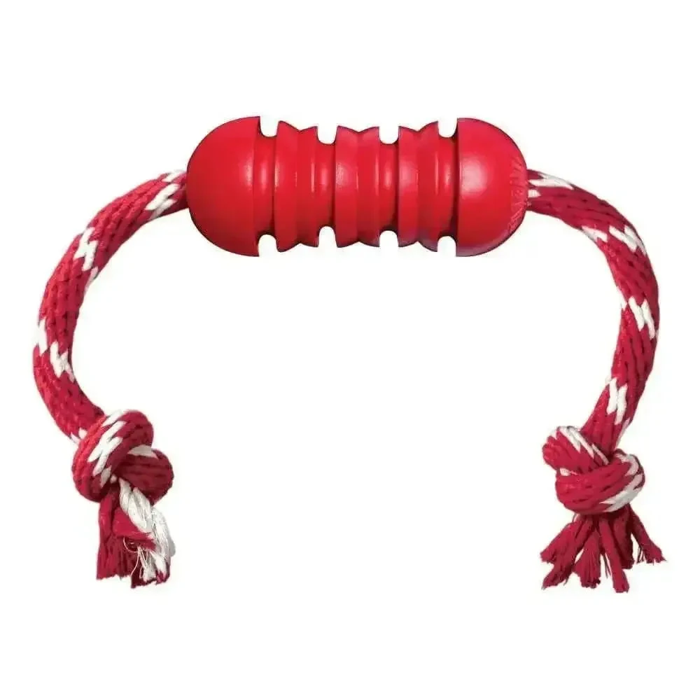 KONG PERRO CAUCHO CLASSIC DENTAL CON LAZO