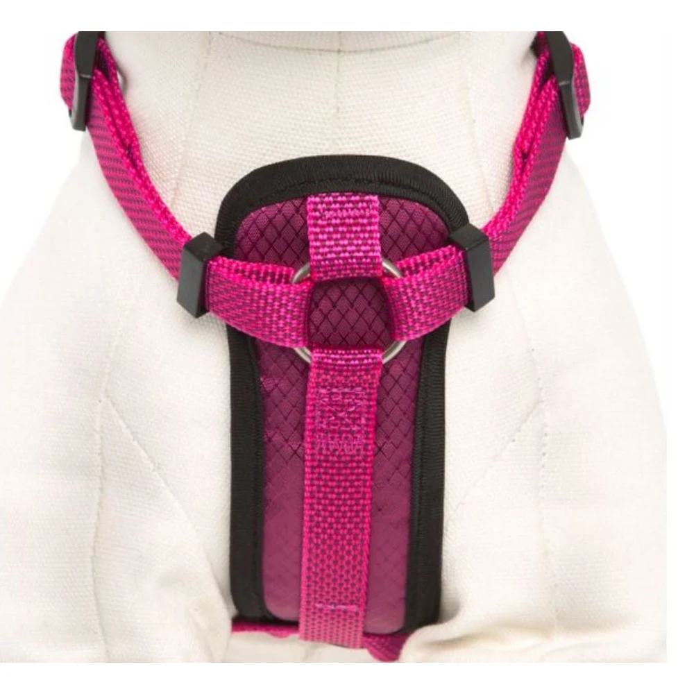 KONG ARNES COMFORT (S, Rojo)