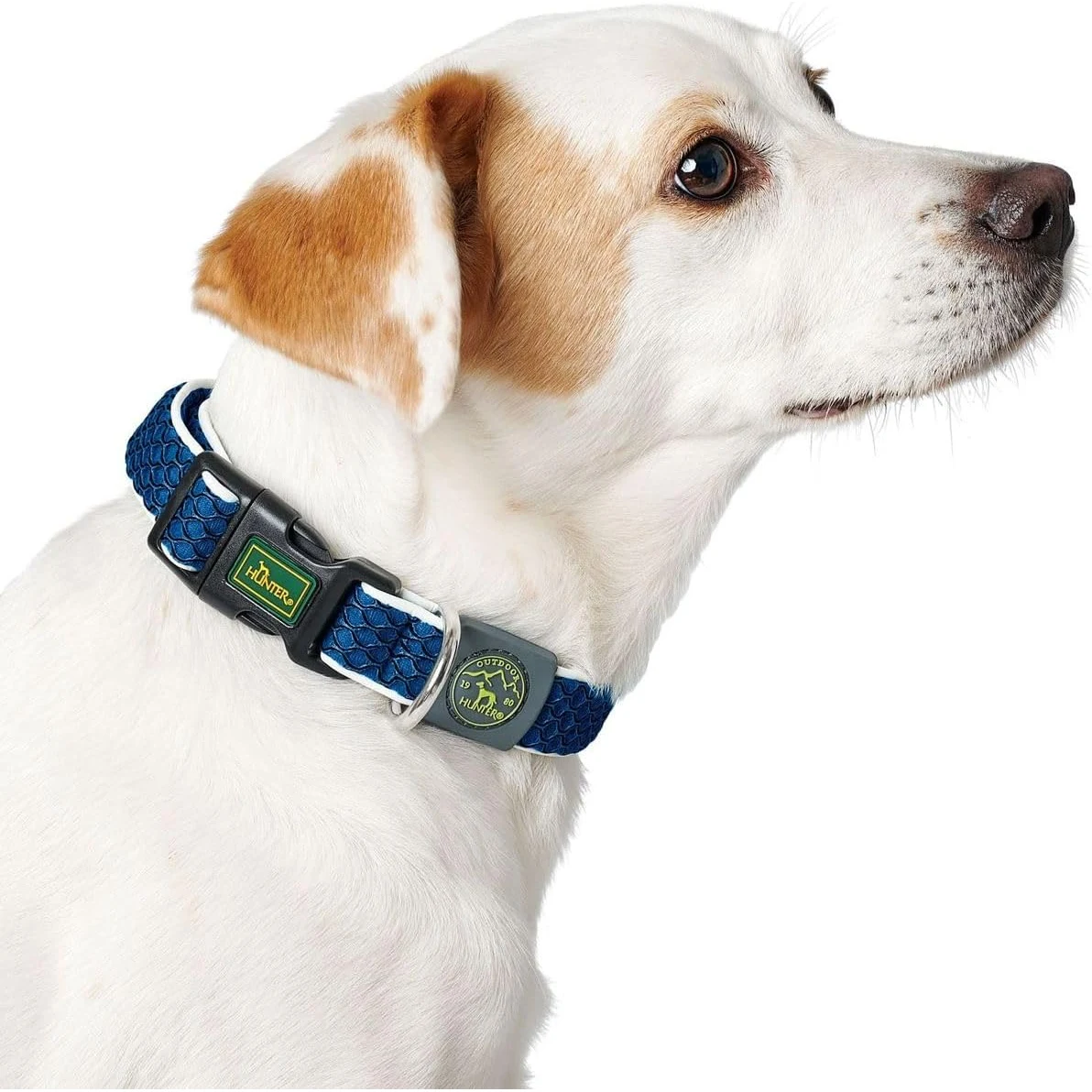 HUNTER COLLAR HILO VB AZUL (S-M)
