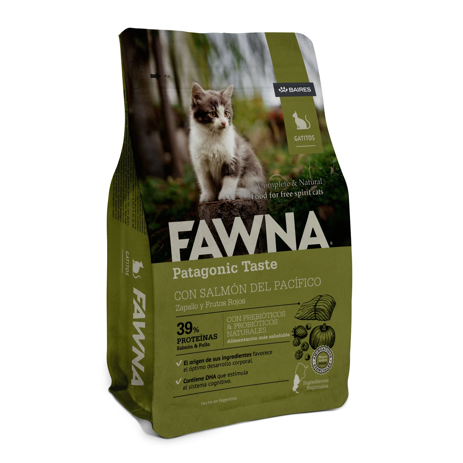 [fawna_salmon_gatos_kitten] FAWNA SALMON GATOS KITTEN