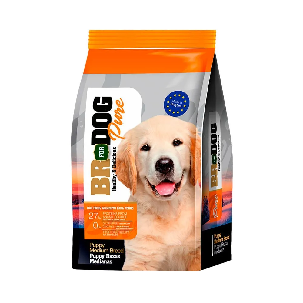 BR FOR DOG PURE PUPPY RAZA MEDIANA