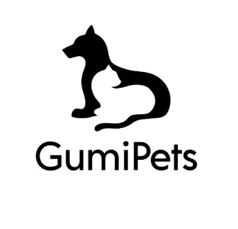 GUMI GROUP SAS