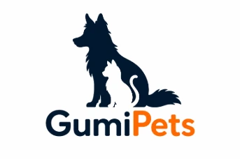 GUMI GROUP SAS